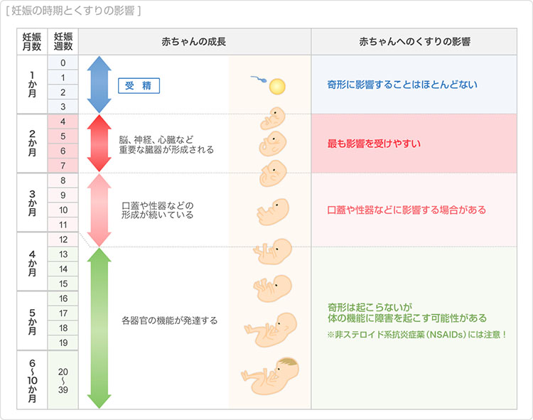 妊娠の時期とくすりの影響