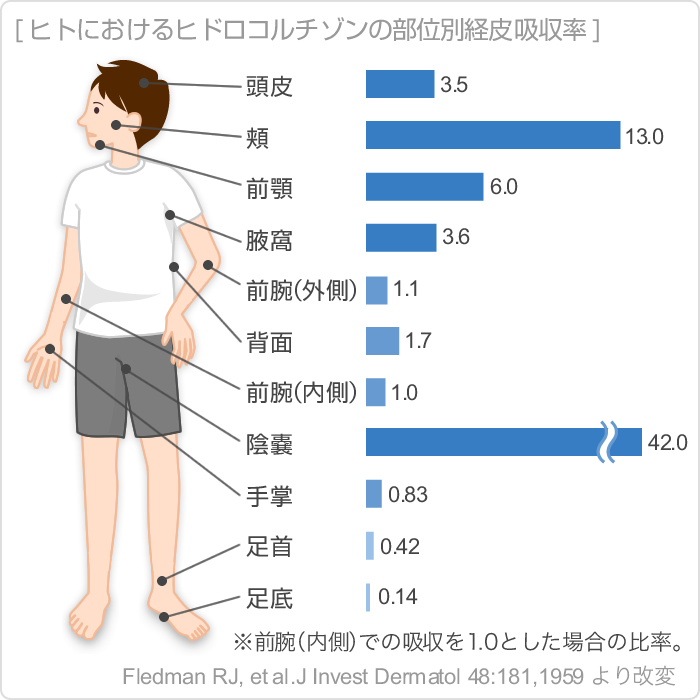 ヒトにおけるヒドロコルチゾンの部位別経皮吸収率