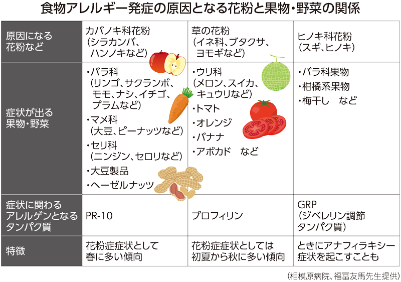 食物アレルギー発症の原因となる花粉と果物・野菜の一覧表
