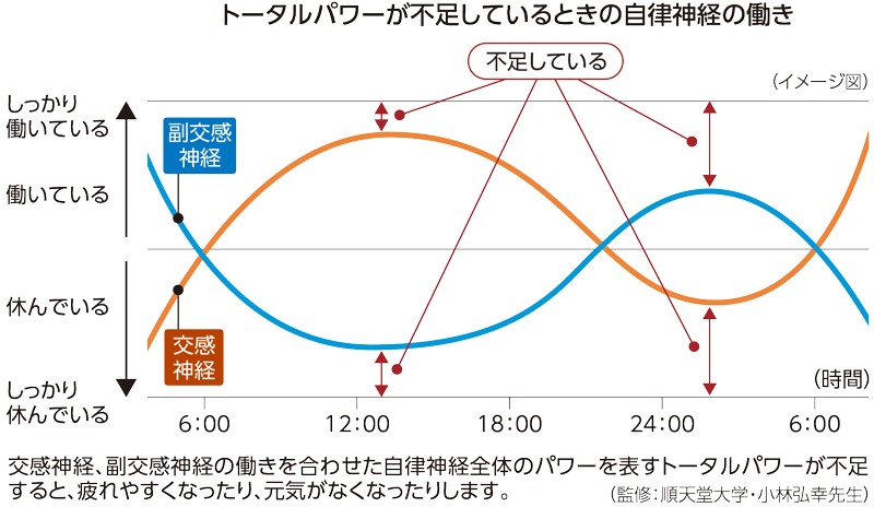 トータルパワーが不足している自律神経のリズムの図