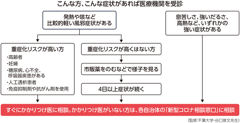 風邪とコロナの症状の見分け方、医療機関受診の見極めチャート