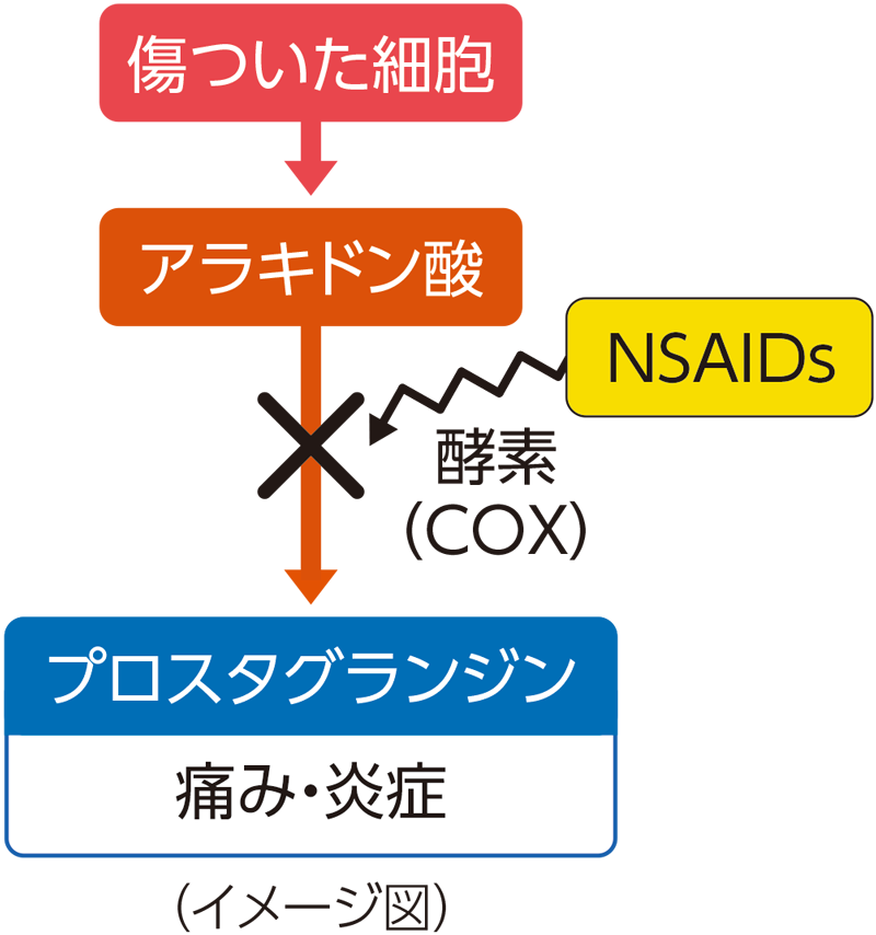 NSAIDsはプロスタグランジンの産生を抑えるイメージ図