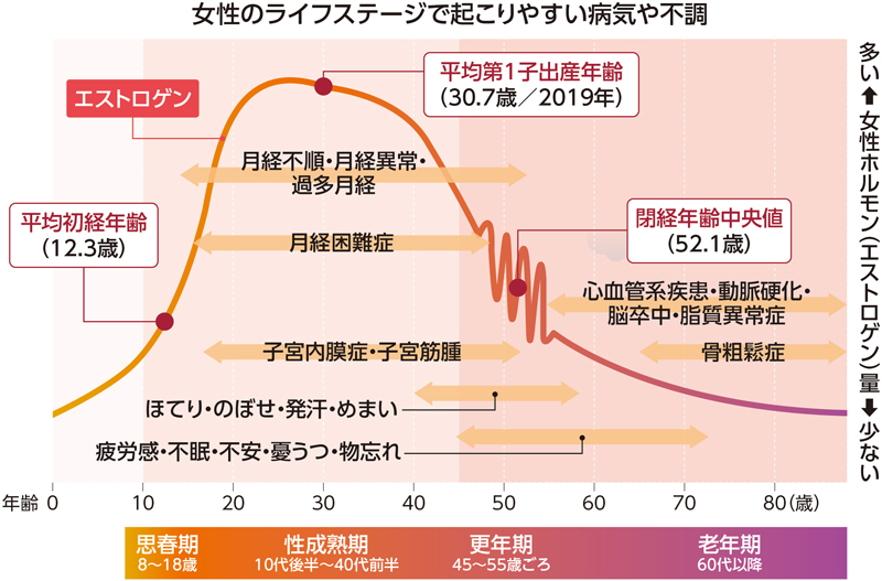 女性のライフステージとエストロゲンの変化