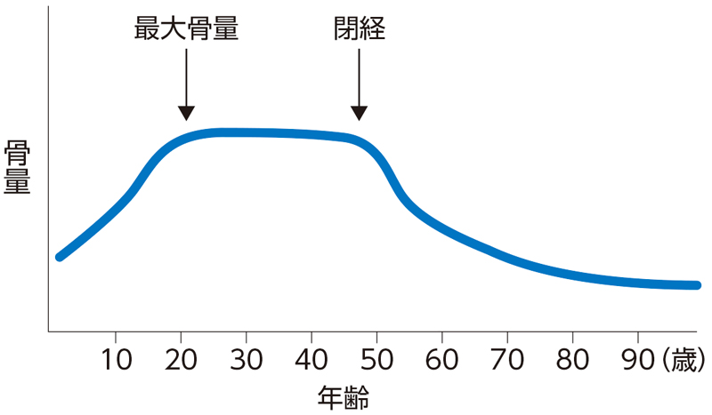 骨量の経年的変化