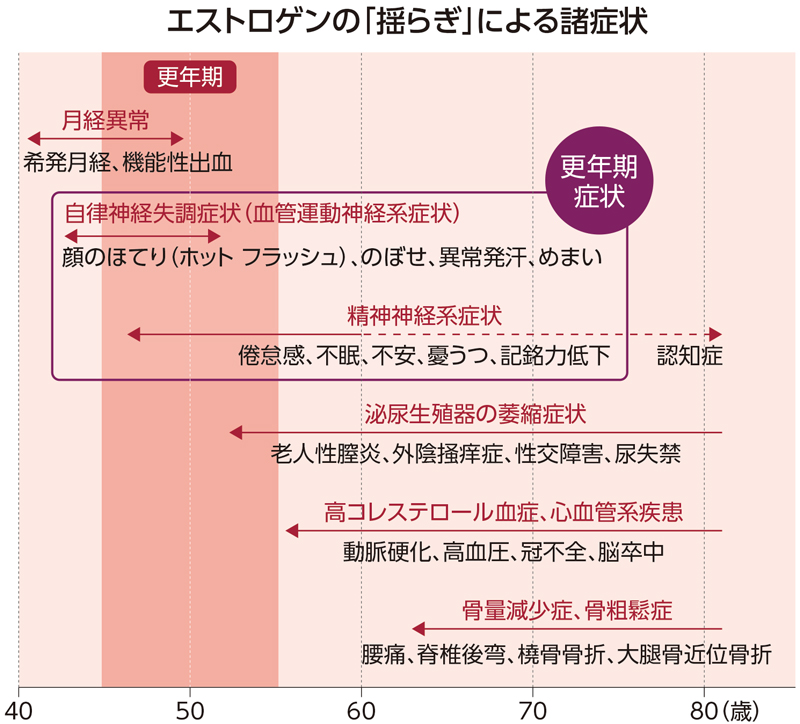 エストロゲンの揺らぎによる更年期の諸症状