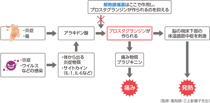 解熱鎮痛薬がプロスタグランジンの産生を抑えて熱や痛みを鎮める過程の説明図／（監修：薬剤師・三上彰貴子先生）