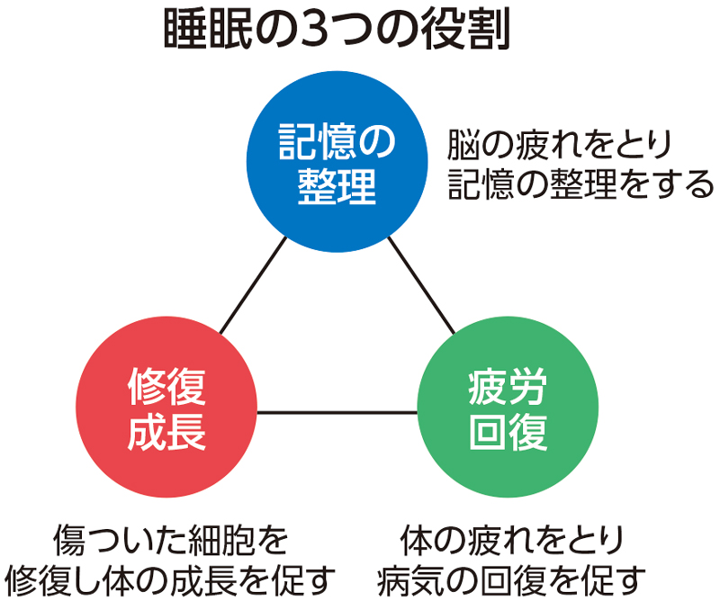 睡眠の3つの役割