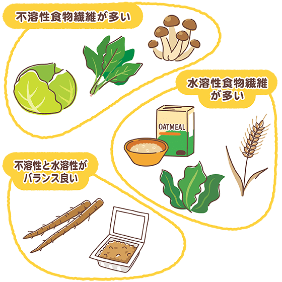 食物繊維が多い食品