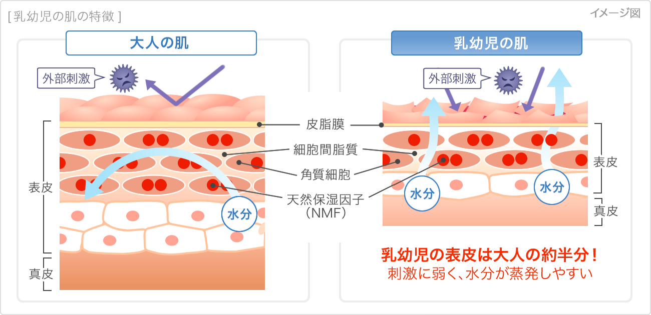 乳幼児の肌の特徴