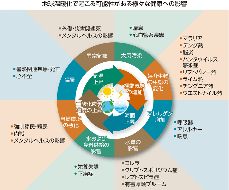 グラフ「地球温暖化で起こる可能性がある様々な健康への影響」