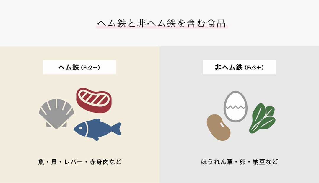 ヘム鉄と非ヘム鉄を含む食品 ヘム鉄：魚、貝、レバー、赤身肉など 非ヘム鉄：ほうれん草、卵、納豆など