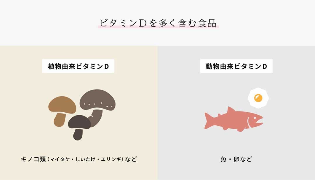 ビタミンDを多く含む食品植物由来ビタミンD：きのこ類など 動物由来ビタミンD：魚、卵など