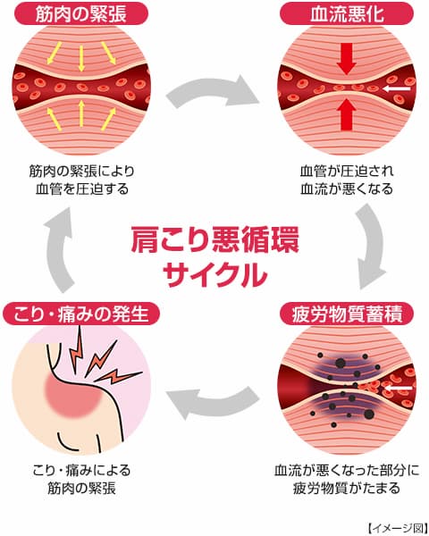 ※イメージ図