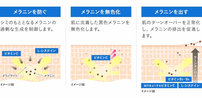 「トランシーノ ホワイトCクリア」による3つの働き（イメージ図）