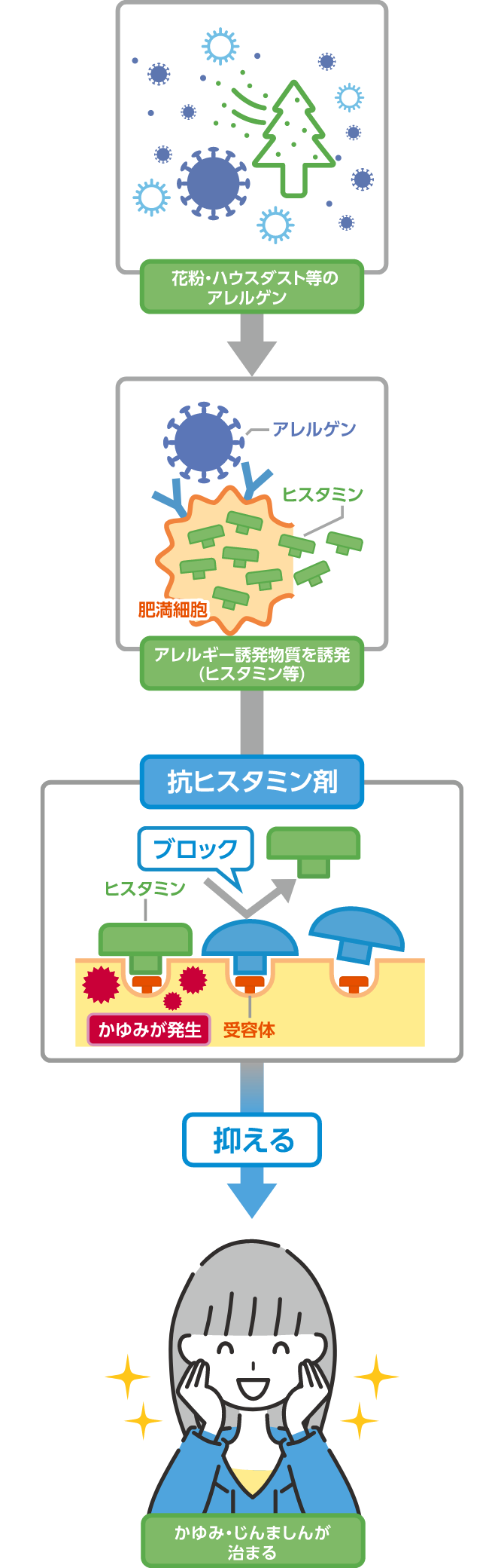 アレルギール錠が効くメカニズムをを示した図