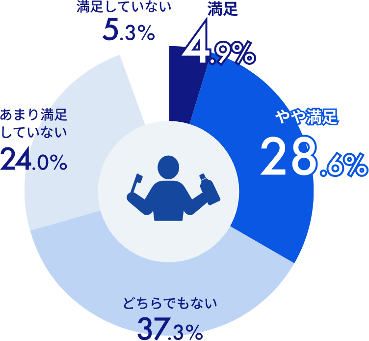 満足していない 5.3%あまり満足していない24.0%どちらでもない37.3%やや満足28.6%満足4.9%