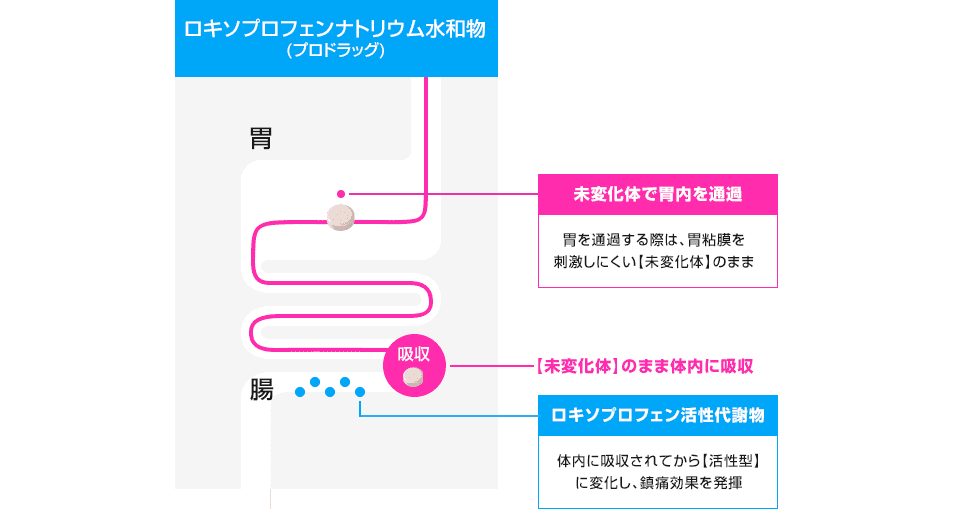 プロドラッグ製剤のしくみ