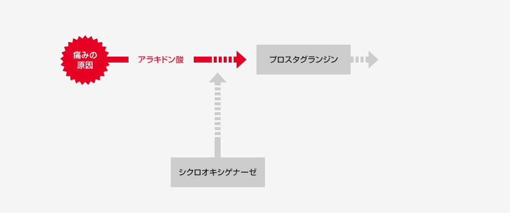 痛み発生のメカニズムとロキソプロフェンナトリウム水和物の作用