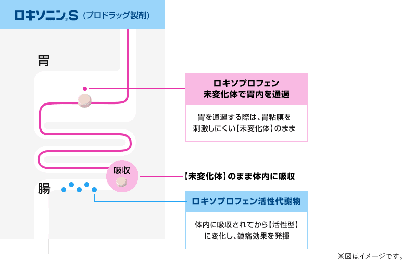 プロドラッグ製剤のしくみ