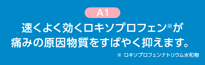 A1 速くよく効くロキソプロフェン※が痛みの原因物質をすばやく抑えます。※ ロキソプロフェンナトリウム水和物