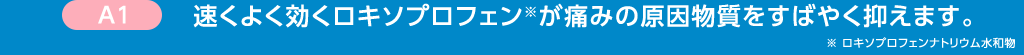 A1 速くよく効くロキソプロフェン※が痛みの原因物質をすばやく抑えます。※ ロキソプロフェンナトリウム水和物