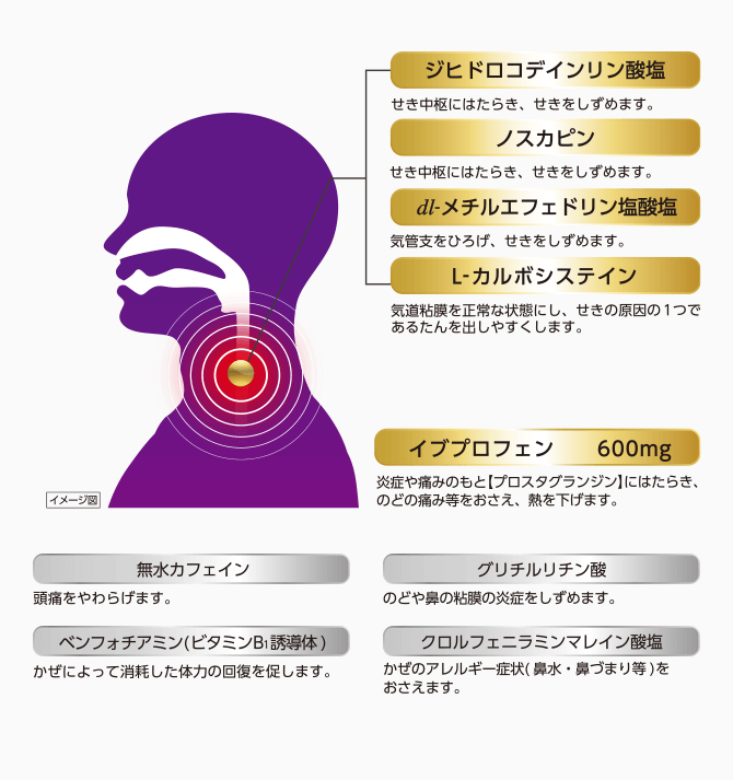 ジヒドロコデインリン酸塩 せき中枢にはたらき、せきをしずめます。 ノスカピン せき中枢にはたらき、せきをしずめます。 dl-メチルエフェドリン塩酸塩 気管支をひろげ、せきをしずめます。 L-カルボシステイン 気道粘膜を正常な状態にし、せきの原因の1つであるたんを出しやすくします。 イブプロフェン 600mg 炎症や痛みのもと【プロスタグランジン】にはたらき、のどの痛み等をおさえ、熱を下げます。 無水カフェイン 頭痛をやわらげます。 ベンフォチアミン（ビタミンB1誘導体） かぜによって消耗した体力の回復を促します。　グリチルリチン酸 のどや鼻の粘膜の炎症をしずめます。 クロルフェニラミンマレイン酸塩 かぜのアレルギー症状（鼻水、鼻づまり等）をおさえます。