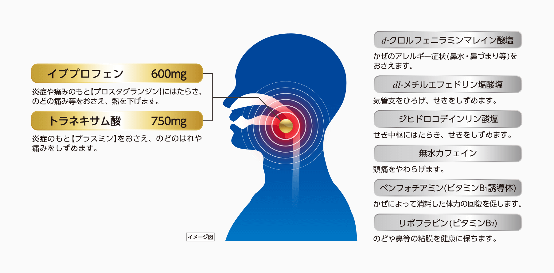 イブプロフェン 600mg 炎症や痛みのもと【プロスタグランジン】にはたらき、のどの痛み等をおさえ、熱を下げます。 トラネキサム酸 750mg 炎症のもと【プラスミン】をおさえ、のどのはれや痛みをしずめます。 d-クロルフェニラミンマレイン酸塩 かぜのアレルギー症状（鼻水・鼻づまり等）をおさえます。 dl-メチルエフェドリン塩酸塩 気管支をひろげ、せきをしずめます。 ジヒドロコデインリン酸塩 せき中枢位にはたらき、せきをしずめます。 無水カフェイン 頭痛をやわらげます。 ベンフォチアミン（ビタミンB1誘導体） かぜによって消耗した体力の回復を促します。 リボフラビン（ビタミンB2） のどや鼻等の粘膜を健康に保ちます。