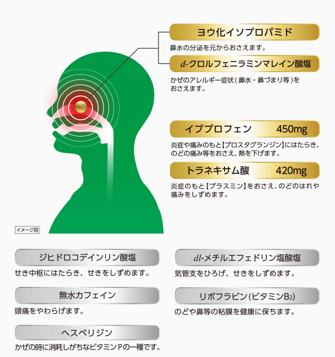 イブプロフェン 450mg 炎症や痛みのもと【プロスタグランジン】にはたらき、のどの痛み等をおさえ、熱を下げます。 トラネキサム酸 420mg 炎症のもと【プラスミン】をおさえ、のどのはれや痛みをしずめます。 ヨウ化イソプロパミド 鼻水の分泌を元からおさえます。 d-クロルフェニラミンマレイン酸塩 かぜのアレルギー症状（鼻水・鼻づまり等）をおさえます。 ジヒドロコデインリン酸塩 せき中枢にはたらき、せきをしずめます。 dl-メチルエフェドリン塩酸塩 気管支をひろげ、せきをしずめます。 無水カフェイン 頭痛をやわらげます。 リボフラビン（ビタミンB2） 鼻やのど等の粘膜を健康に保ちます。 ヘスペリジン かぜの時に消耗しがちなビタミンPの一種です。