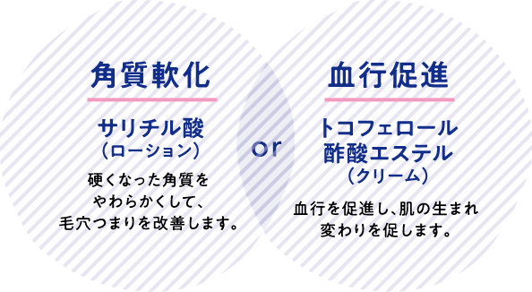 角質軟化 サリチル酸（ローション） 硬くなった角質をやわらかくして、毛穴つまりを改善します。 or 血行促進 トコフェロール酢酸エステル（クリーム） 血行を促進し、肌の生まれ変わりを促します。