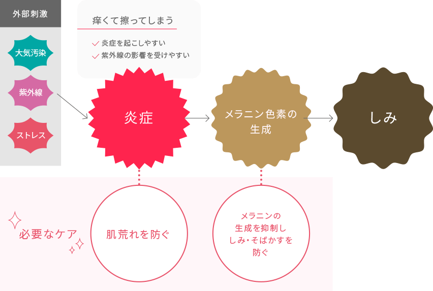 メラニン色素が生成されるとターンオーバーが滞りがちになります。（肌の新陳代謝が遅くなり、しみが居残っている状態）