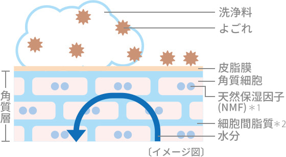 洗う保湿ケア イメージ図