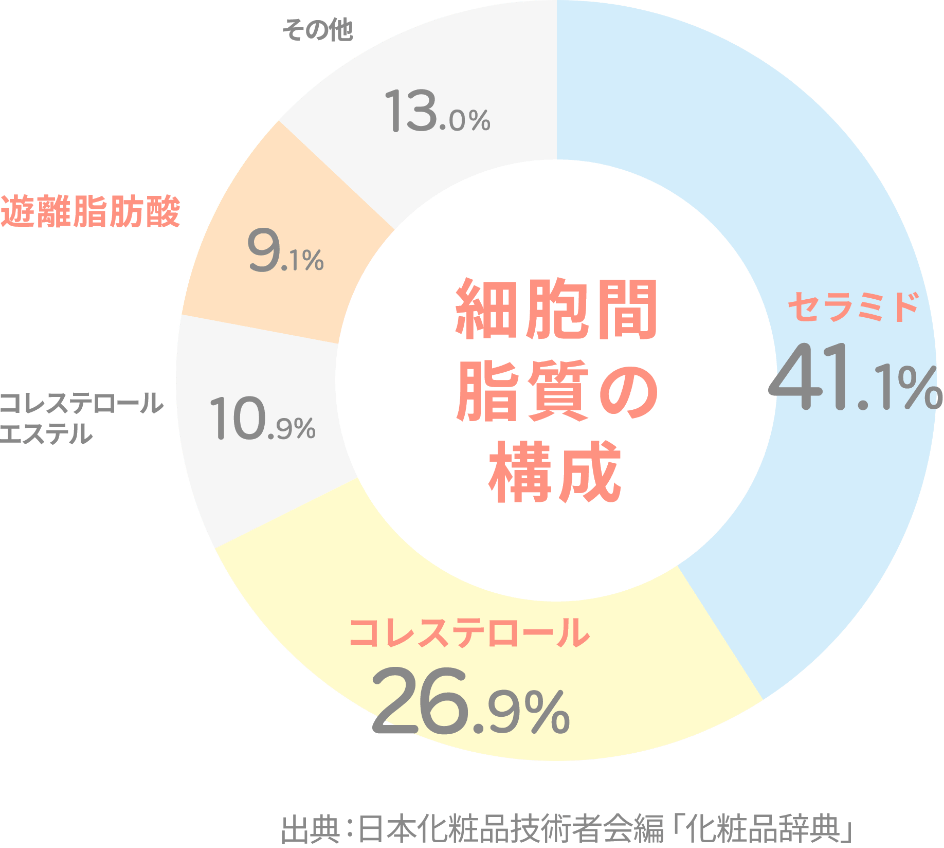 細胞間脂質の構成 セラミド41.1%　コレステロール26.9%　コレステロールエステル10.9%　遊離脂肪酸9.1%　その他13.0%