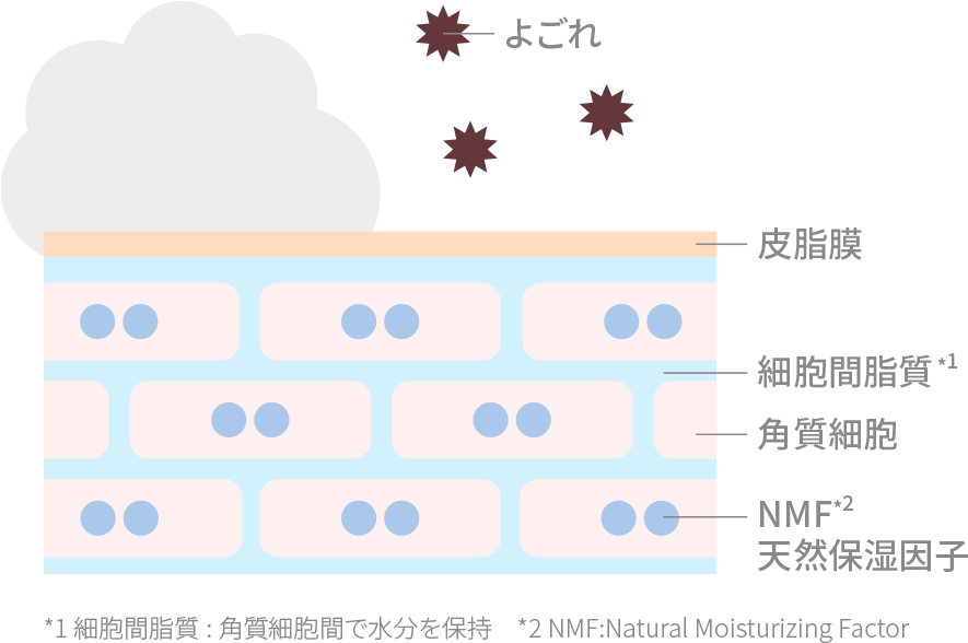 バリア機能を守って洗う保湿洗浄(イメージ図)下の画像に「バリア機能を守って洗う保湿洗浄(イメージ図)