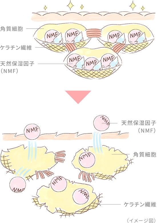 欠かすことの出来ない3つの要素 イメージ