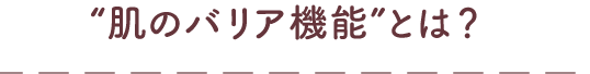 ”肌のバリア機能”とは？