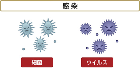 感染 細菌 ウイルス