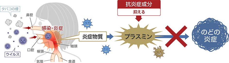 のどの痛みの症状と原因について