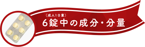 （成人1日量） 6錠中の成分・分量