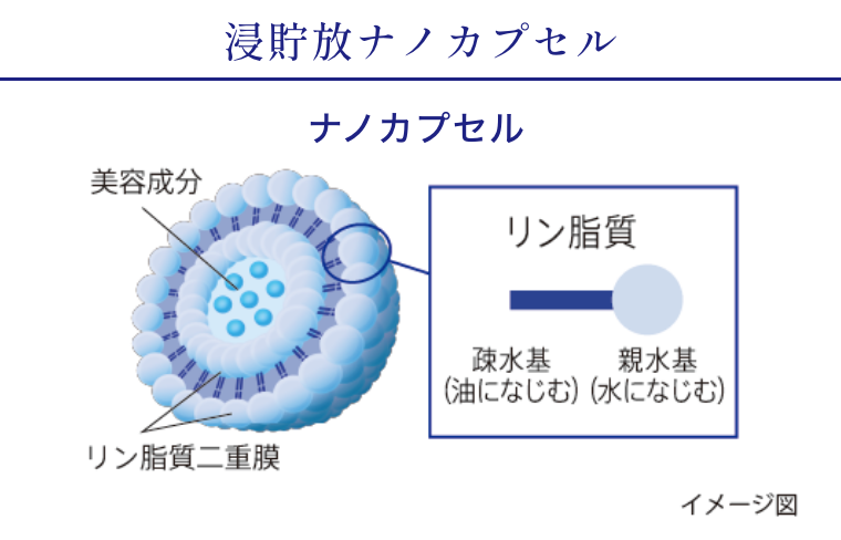 ナノカプセルイメージ図