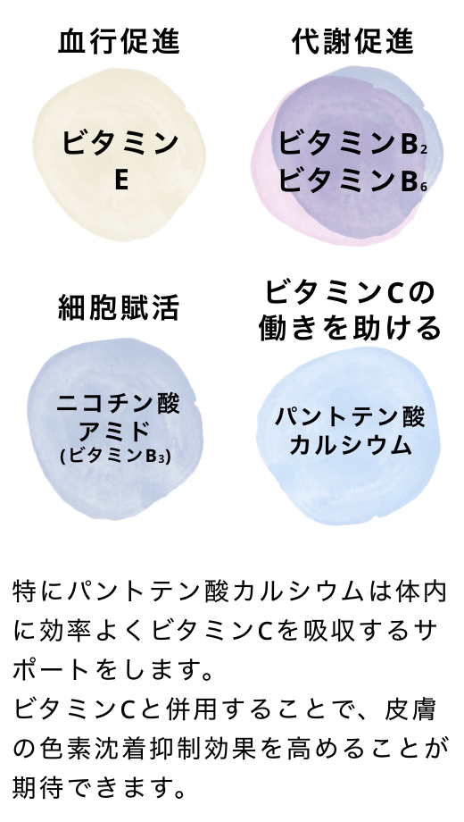 特にパンテトン酸カルシウムは体内に効率よくビタミンCを吸収するサポートをします。