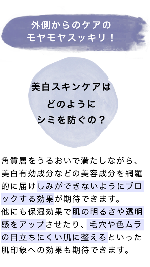 外側からのケアのモヤモヤスッキリ！ 角質層をうるおいで満たしながら、美白有効成分などの美容成分を網羅的に届けしみができないようにブロックする効果が期待できます。他にも保湿効果で肌の明るさや透明感をアップさせたり、毛穴や色ムラの目立ちにくい肌に整えるといった肌印象への効果も期待できます。