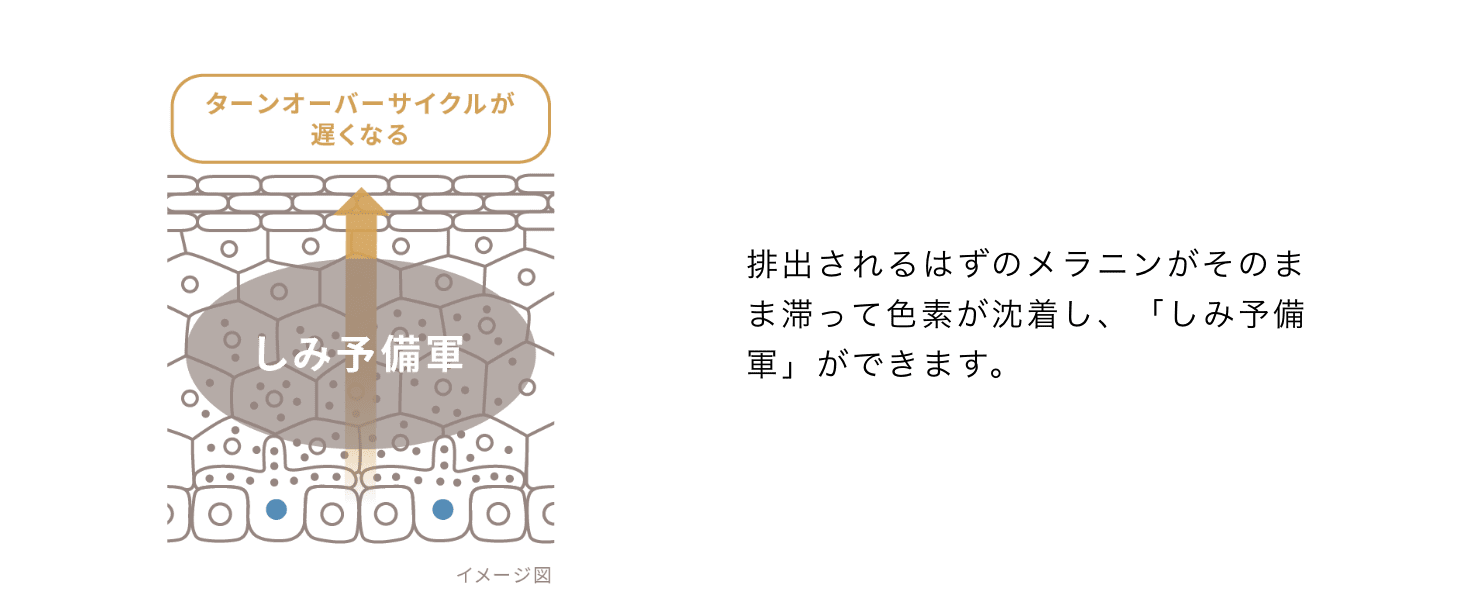 排出されるはずのメラニンがそのまま滞って色素が沈着し、「しみ予備軍」ができます。