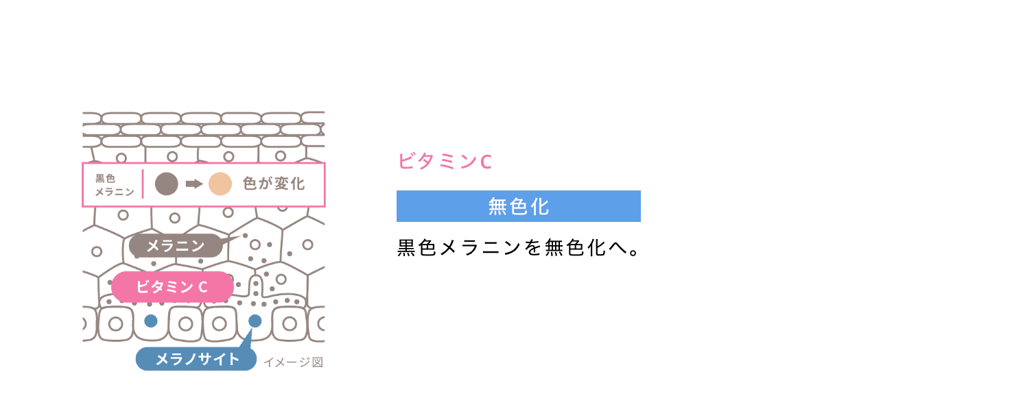 ビタミンC 無色化 黒色メラニンを無色化へ。