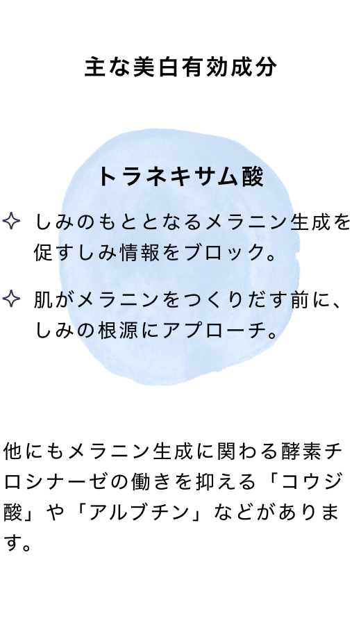 主な美白有効成分 トラネキサム酸 他にもメラニン生成に関わる酵素チロシナーゼの働きを抑える「コウジ酸」や「アルブチン」などがあります。