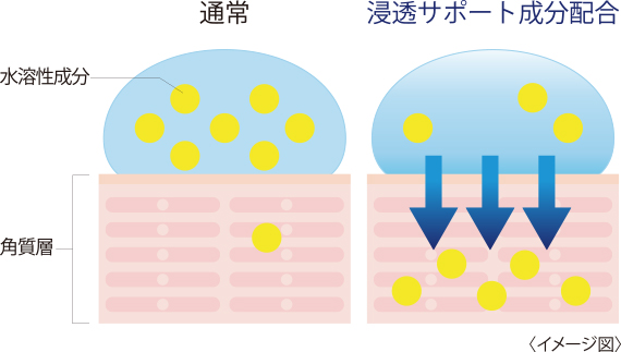 浸透サポート成分の解説