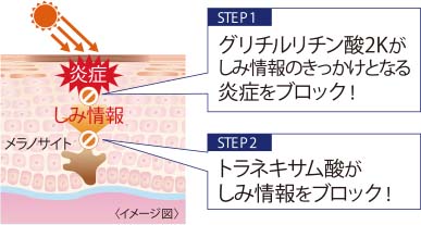 2つの有効成分が紫外線にWアプローチ