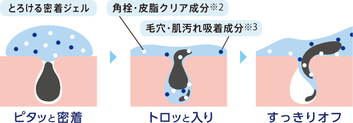 とろける密着ジェル　ピタッと密着　角栓・皮脂クリア成分　毛穴・肌汚れ吸着成分　トロッと入り　すっきりオフ