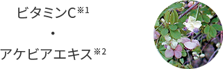 ビタミンC※1・アケビアエキス※2